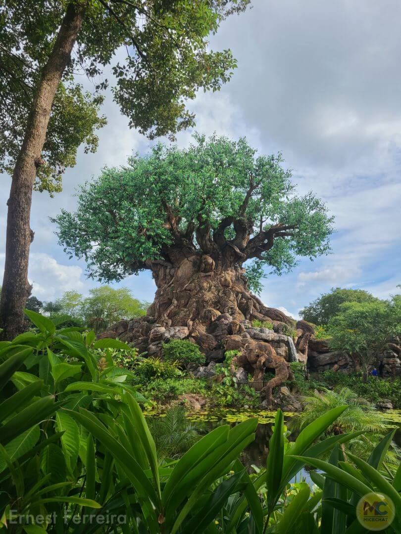 , Walt Disney World Update – Genies, Beacons, Treats, and KiteFails