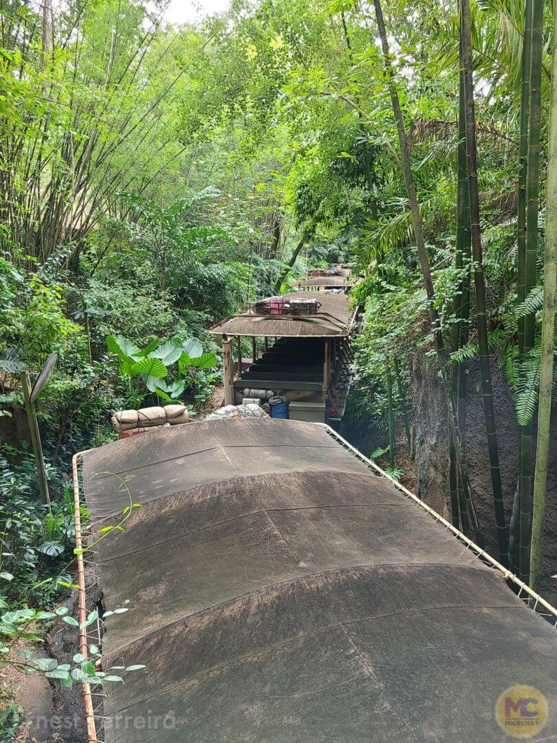 , Walt Disney World Update – Genies, Beacons, Treats, and KiteFails
