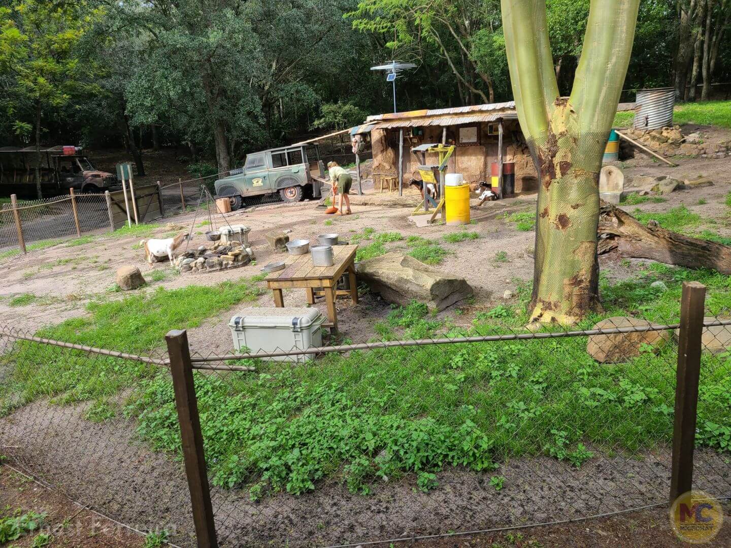 , Walt Disney World Update – Genies, Beacons, Treats, and KiteFails