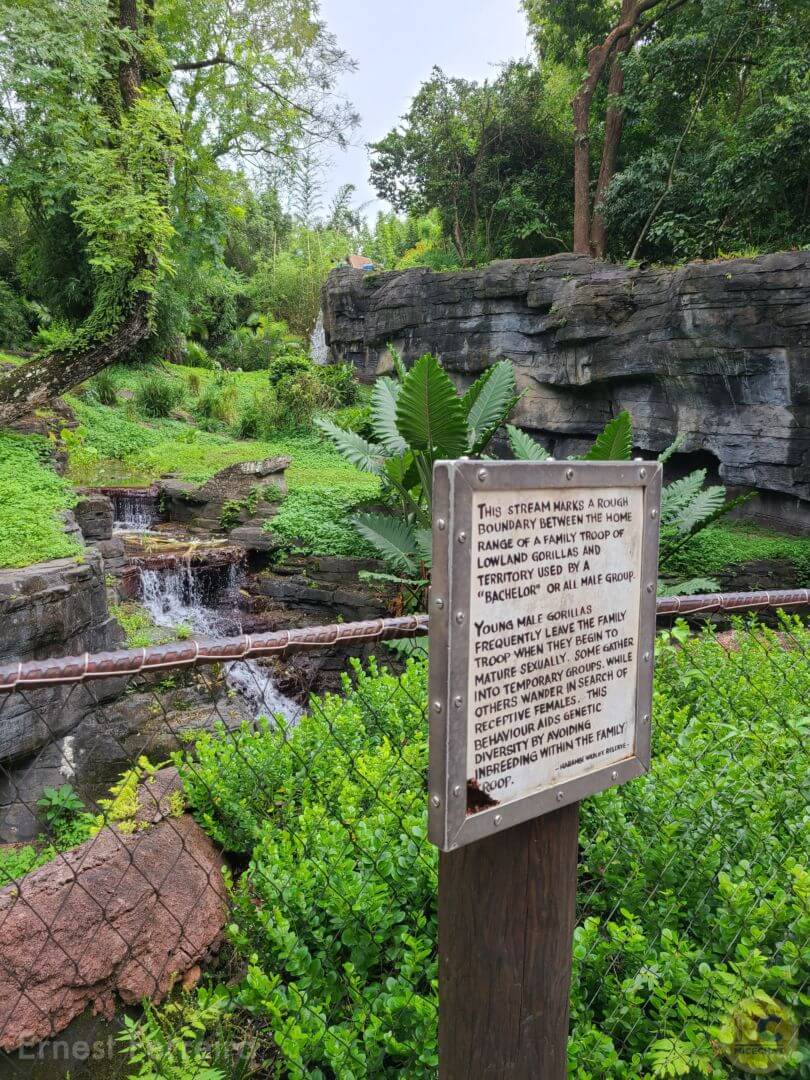 , Walt Disney World Update – Genies, Beacons, Treats, and KiteFails