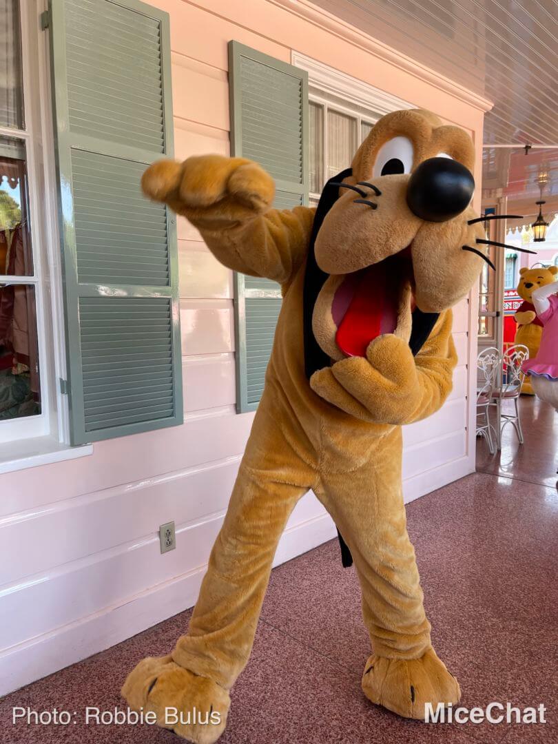 , Disneyland Update: Holiday Humbugs & Hopeful Happenings