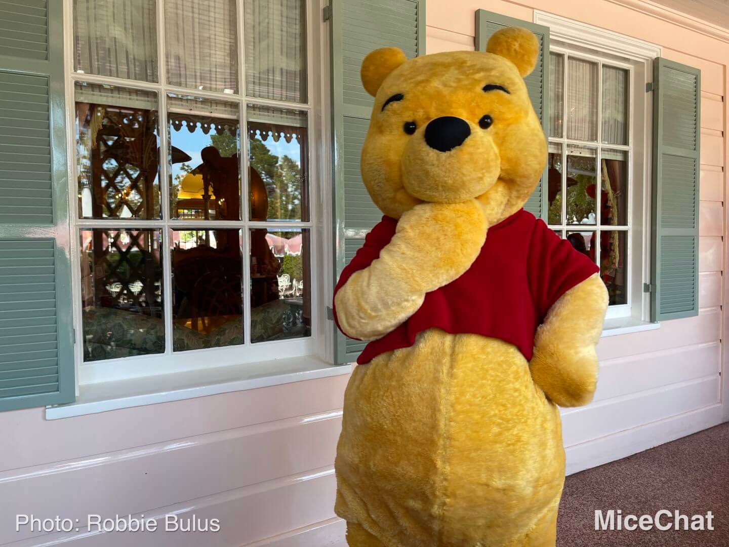 , Disneyland Update: Holiday Humbugs & Hopeful Happenings