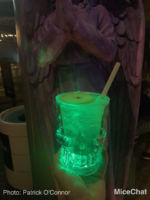 SeaWorld Halloween event – 188 of 214