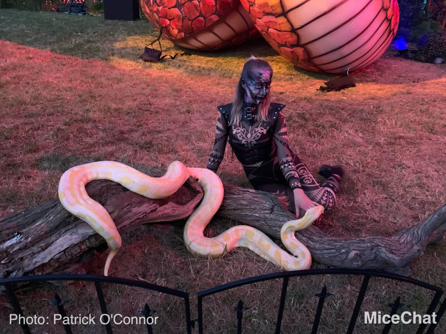 SeaWorld, Terror Awaits at SeaWorld San Diego&#8217;s Inagural Howl-O-Scream