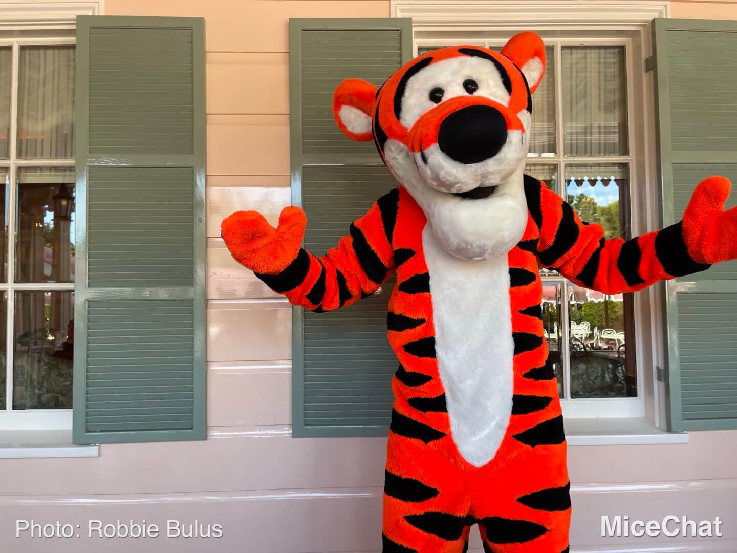, Disneyland Update: Holiday Humbugs & Hopeful Happenings