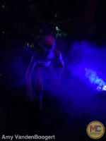 howl-o-scream bush gardens tampa in the shadows 2