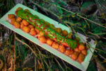 kbf-scary-farm-food-2021-hound-dog-tater-bites