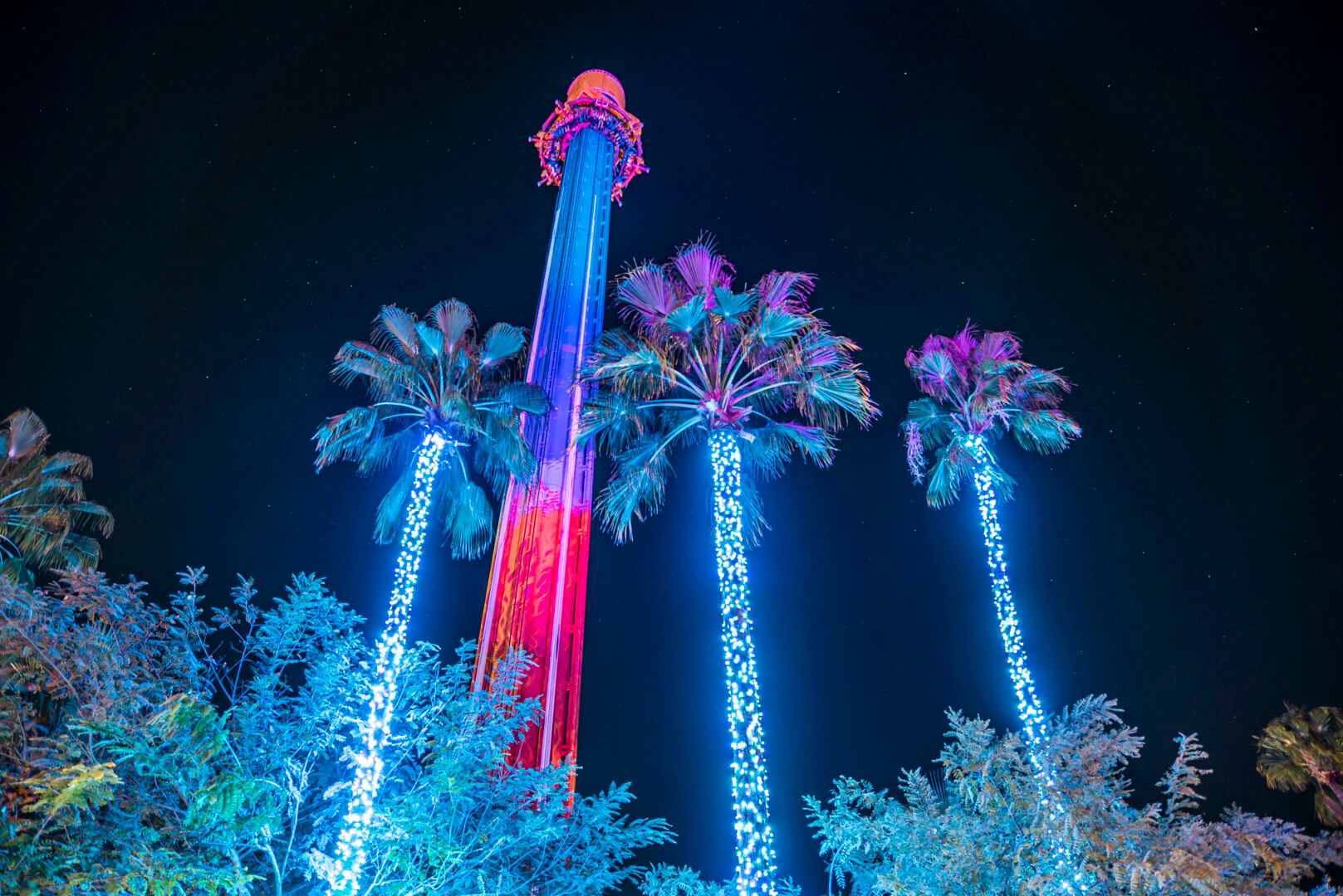 , Discover Holiday Magic at Busch Gardens Tampa’s Christmas Town