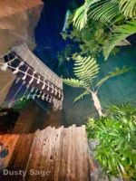 Disneyland Adventureland Tarzan Treehouse up 1-micechat