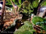 Disneyland Adventureland Tropical Hideaway river-micechat