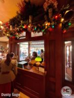 Disneyland-Christmas-Plaza-Point-9