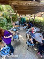 Disneyland Critter Country Splash Mountain Seating