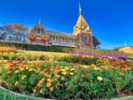 Disneyland Front entry floral train station -micechat