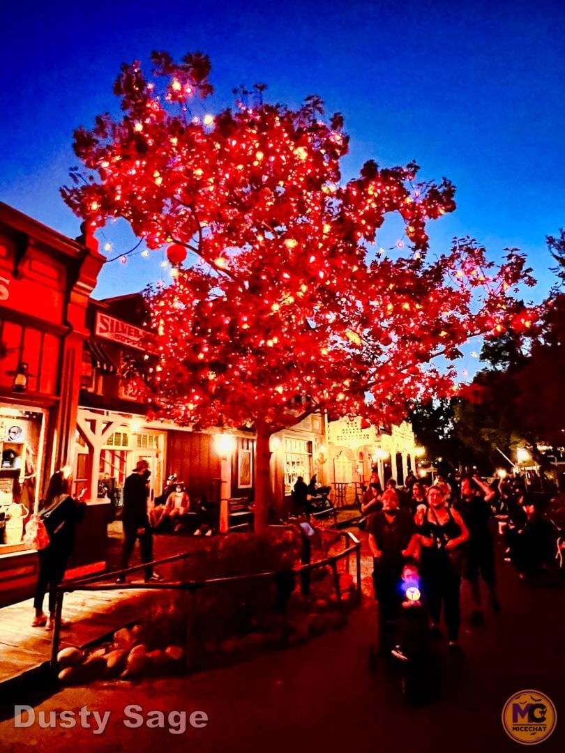 , Disneyland Update – New Magic At What Cost?