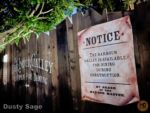 Disneyland New Orleans Square Harbour Galley Sign Pellican Point-micechat