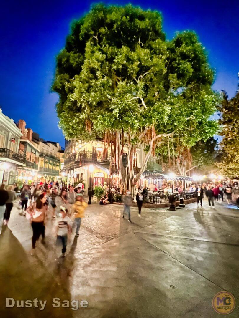 , Disneyland Update – New Magic At What Cost?