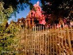 Disneyland Refurbishment Big Thunder Fence Night-micechat