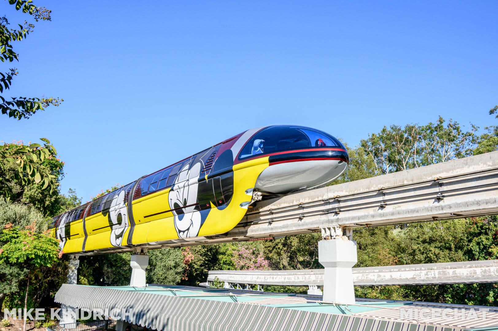 , Disneyland Update: Happy Hauntings and Magic Keys Clogged