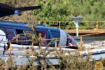 Disneyland Update_Monorail Station_cab