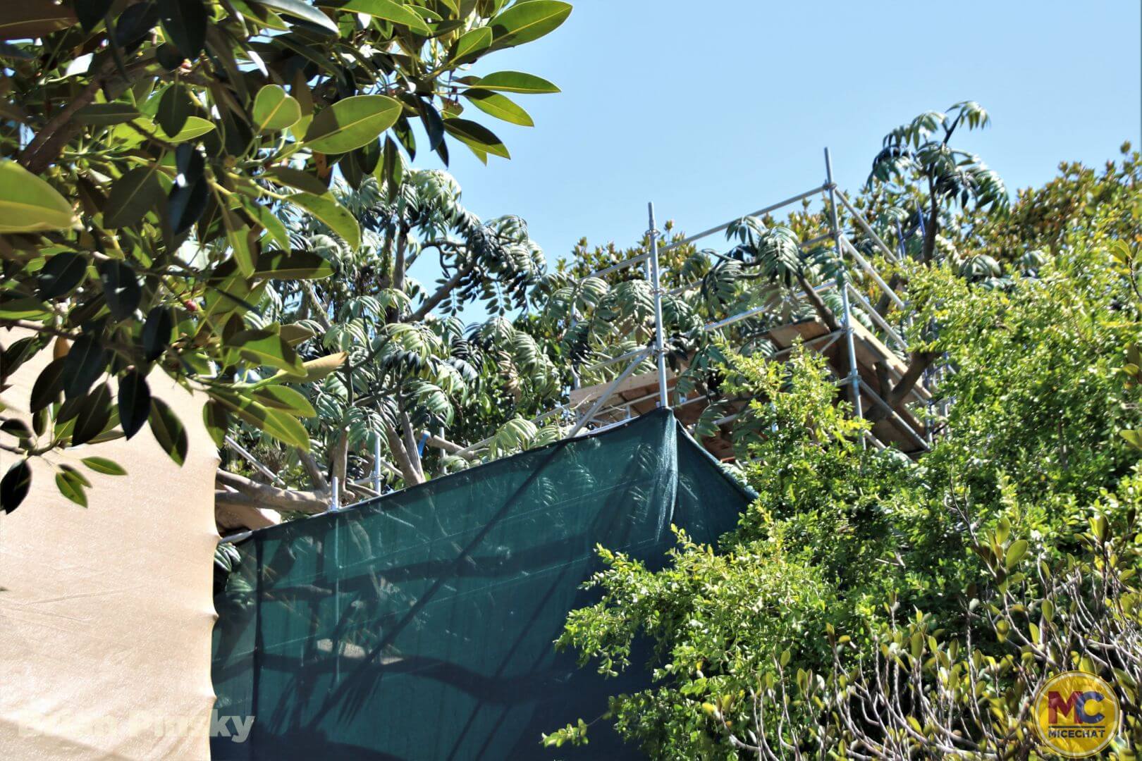 , Disneyland Update: Happy Hauntings and Magic Keys Clogged