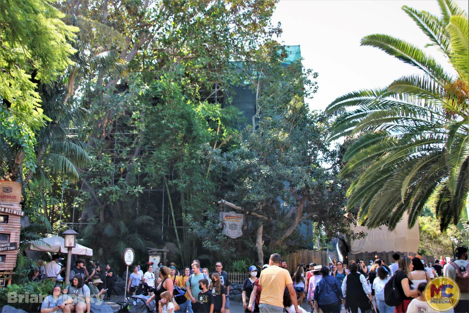, Disneyland Update: Happy Hauntings and Magic Keys Clogged