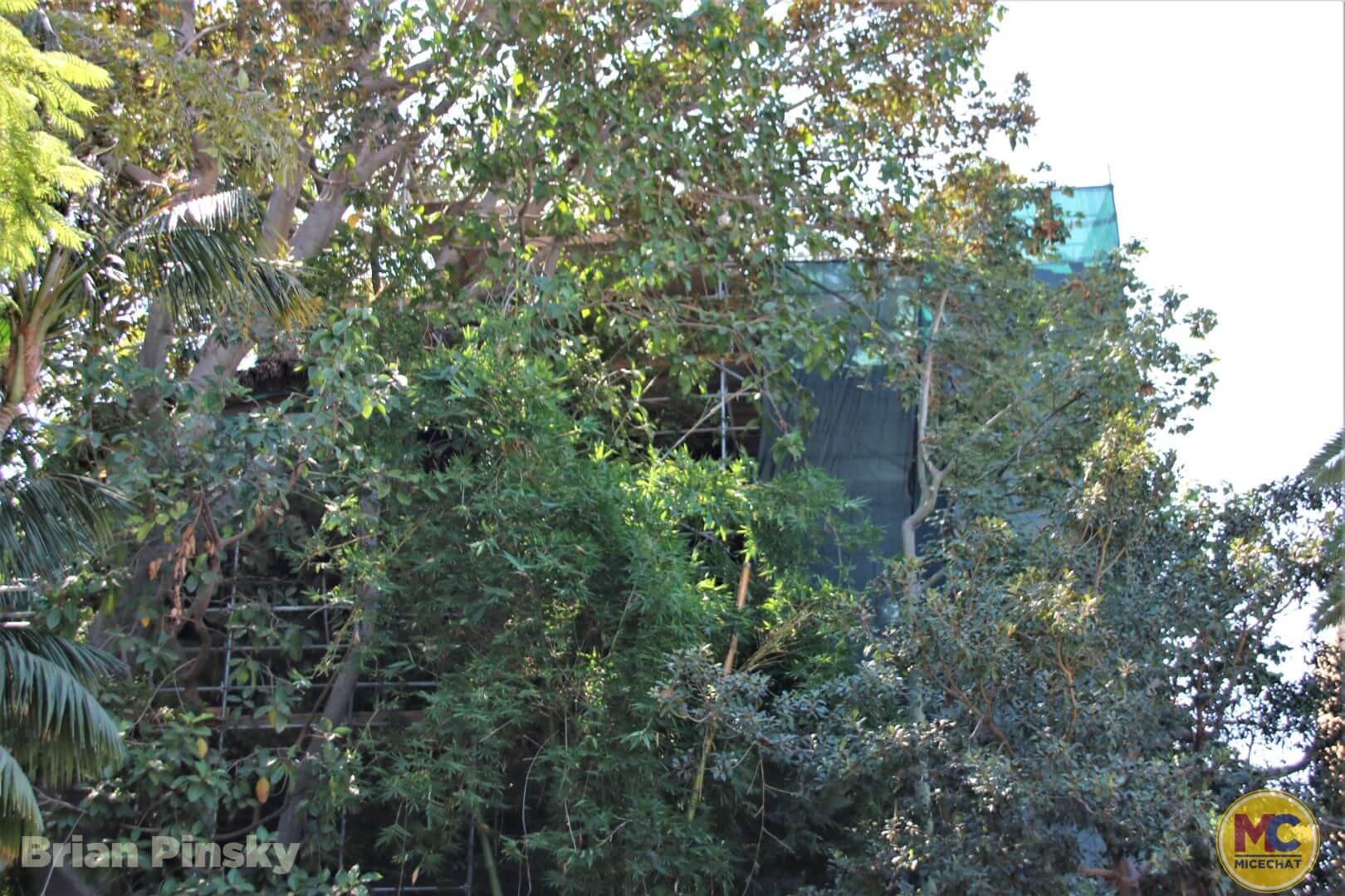 , Disneyland Update: Happy Hauntings and Magic Keys Clogged