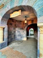 Disneyland tunnel to Tomorrowland-micechat