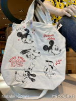 Downtown-Disney-world-of-disney-classic-mickey-and-friends-canvas-bag-with-shoulder-strap