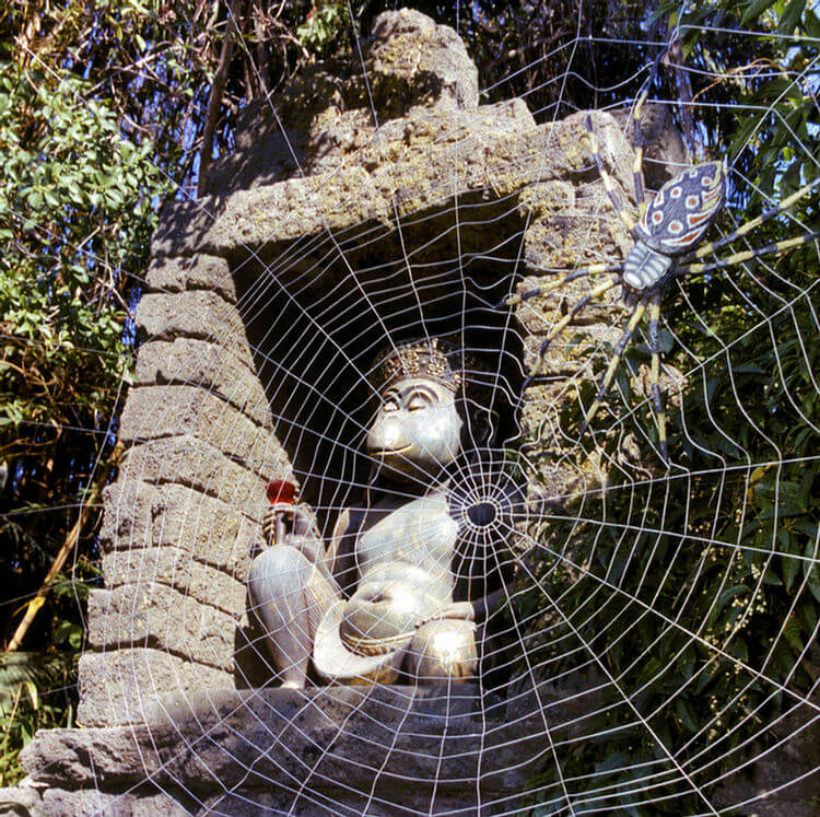 , Exploring a Haunted Mansion Mystery: The Man in the Web
