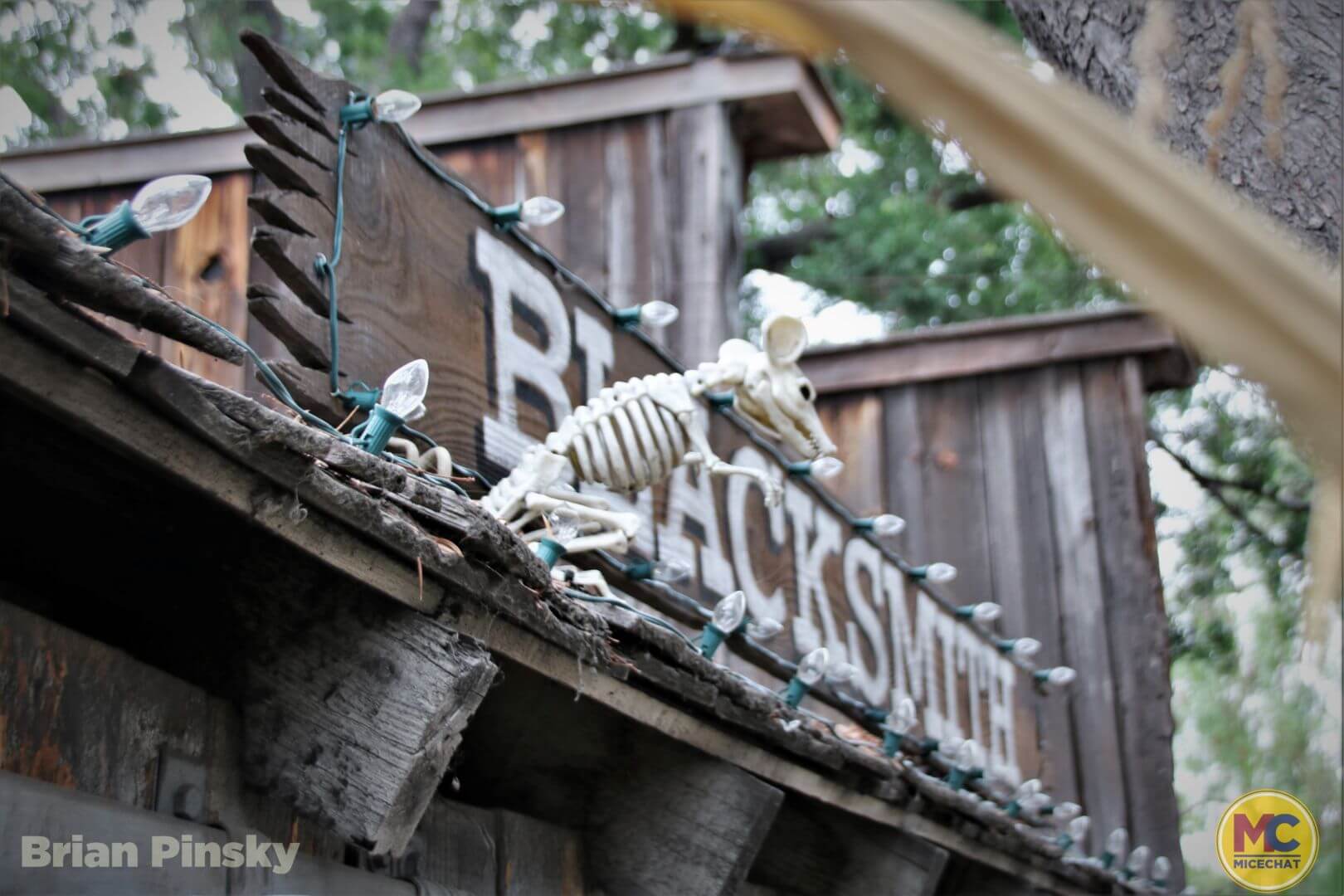 , Knott’s Berry Farm Update: Spooky, Scary, and Snowy Surprises