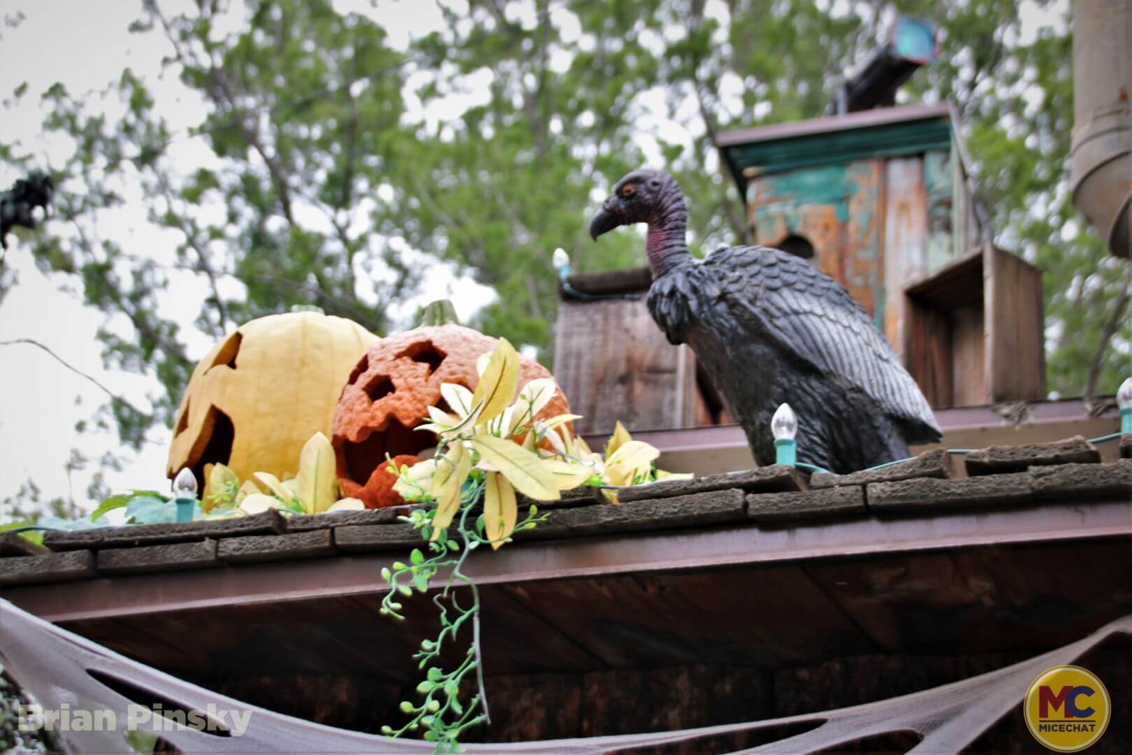 , Knott’s Berry Farm Update: Spooky, Scary, and Snowy Surprises