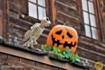 Knotts Berry Farm_Christmas Decor Install_Owl Pumpkin