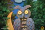 Knotts Berry Farm_Halloween_Owl Window Display