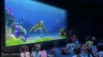 WDW-Epcot-turtle-talk-with-crush