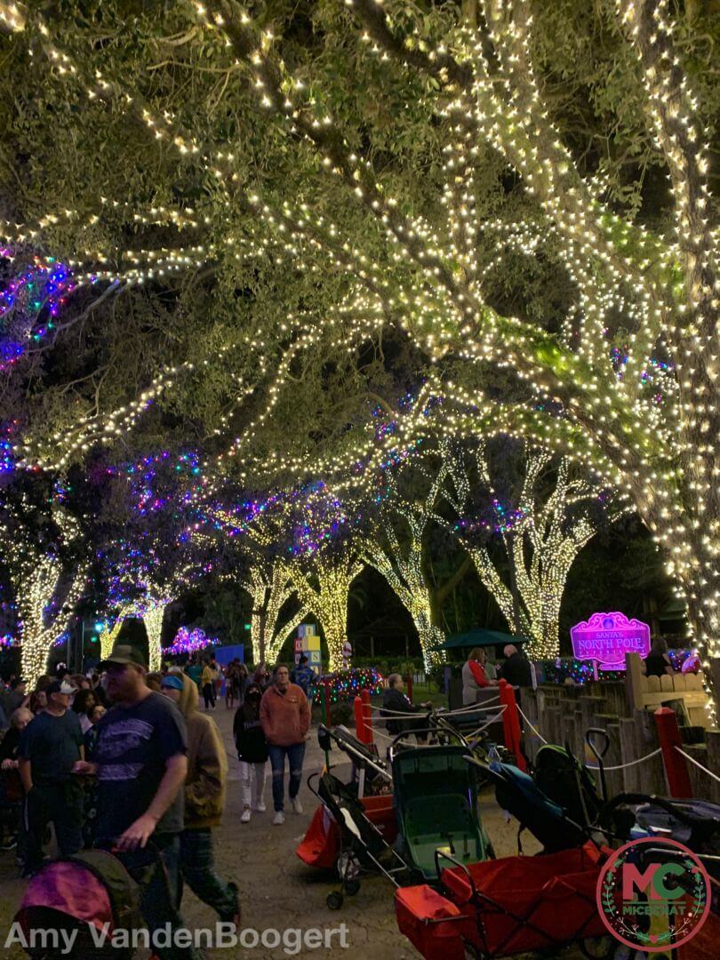 , It&#8217;s Beginning to Look A Lot Like Christmas Town at Busch Gardens Tampa