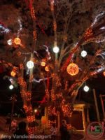 Busch Gardens Christmas Town lights 4