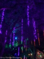 Busch Gardens Christmas Town lights 6