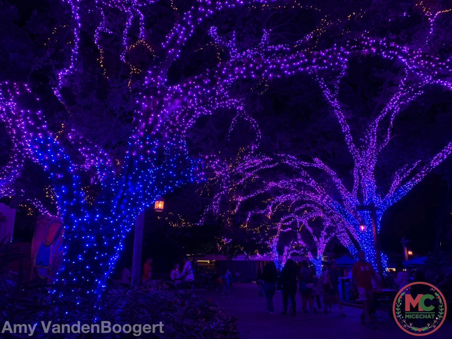 , It&#8217;s Beginning to Look A Lot Like Christmas Town at Busch Gardens Tampa