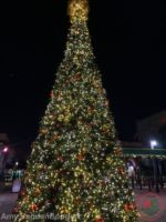 Busch Gardens Christmas Town lights 8