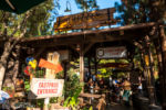 DCA Grizzly River Run marquee Lightning Lane FASTPASS Genie sign DSC_9552-X5