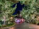 Disney Grand Californian Hotel Christmas Lights Outside-micechat