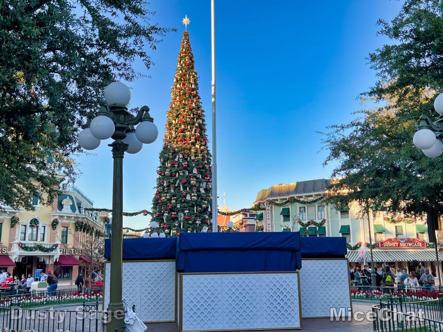 , Disneyland Update &#8211; Candy Canes, Candlelight &#038; Holiday Surprise!