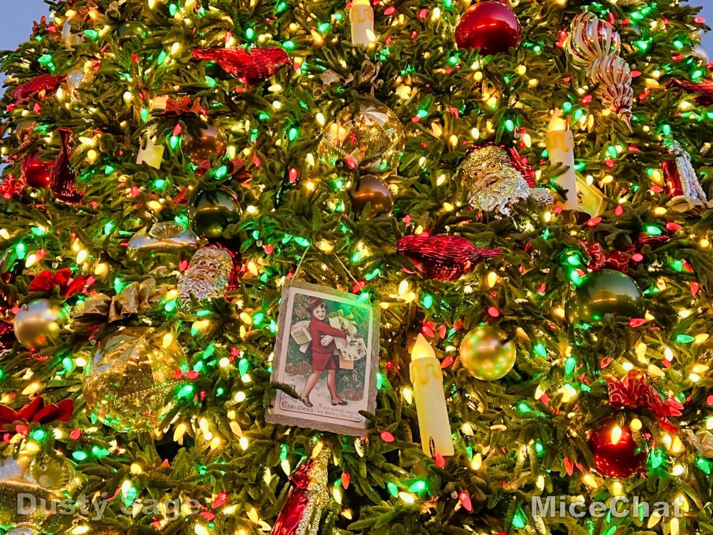 , Disneyland Update – Candy Canes, Candlelight & Holiday Surprise!