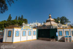 Disneyland Fantasyland Toon Town walk way repaving DSC_8358-X5