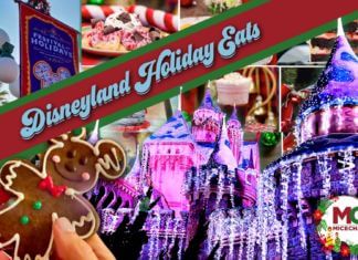UPDATED! Disneyland Resort 2021 Holiday Food & Festival Guide