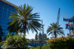 Disneyland Hotel DVC Tower construction cranes DSC_6361-X5