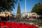 Disneyland Main Street USA holiday Christmas tree DSC_5638-X5