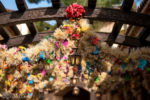 Disneyland Rancho del Zocalo Frontierland holiday decorations garland DSC_5193-X4