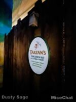 Disneyland Refurbishment Tarzan Treehouse Sign-micechat