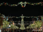 disneyland-disney-merriest-nites-party-tree-and-lights-on-main-street-usa